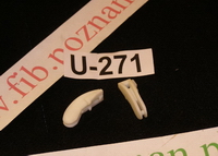 UCHWYT ZAWIASU/18081